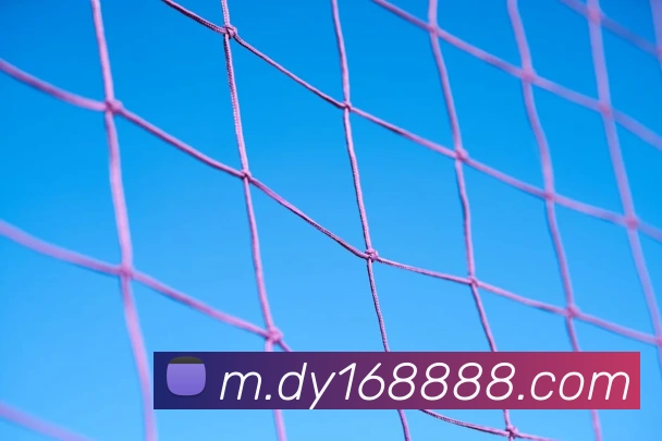 体育App
